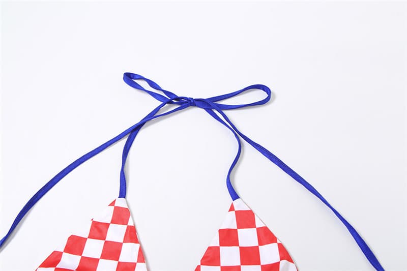 Plaid Tie Front Mini Dress and Bikini Set