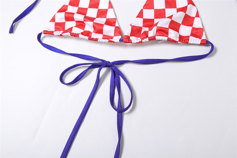 Plaid Tie Front Mini Dress and Bikini Set