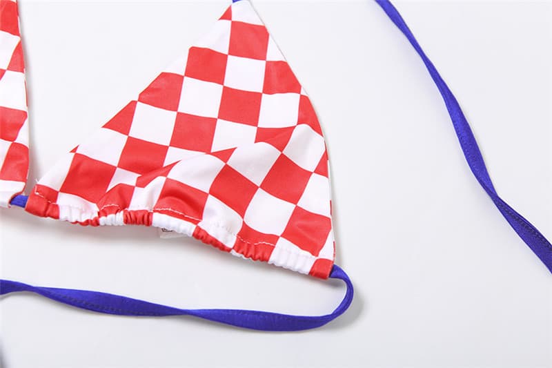 Plaid Tie Front Mini Dress and Bikini Set