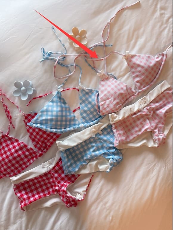 Chic Plaid Bikini Set Push Up Swimsuit